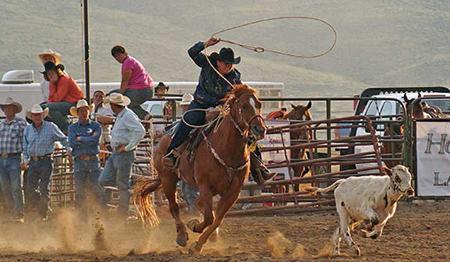 Ladies Breakaway Roping